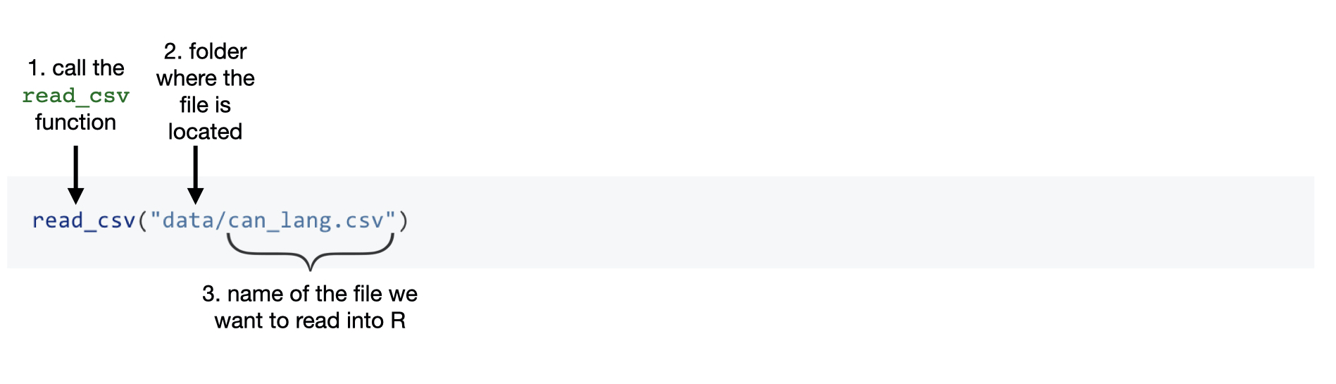 _images/read_csv_function.jpeg